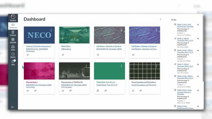 Canvas Dashboard Walkthrough
