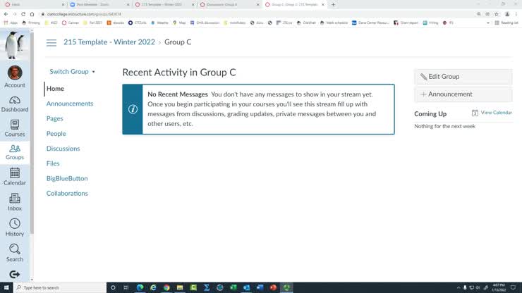 Using your groups "Play area" in Canvas
