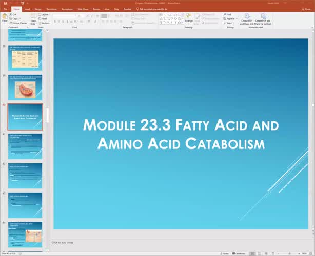 Chapter 23 Metabolism pt 2