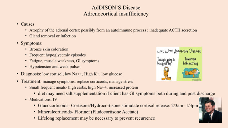 Remainder of Chapter 49: Cushing's and Addison's