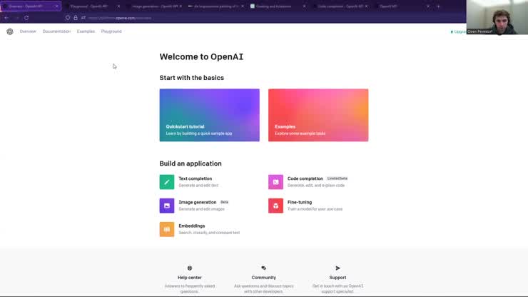 ChatGPT and OpenAI Brief Introduction