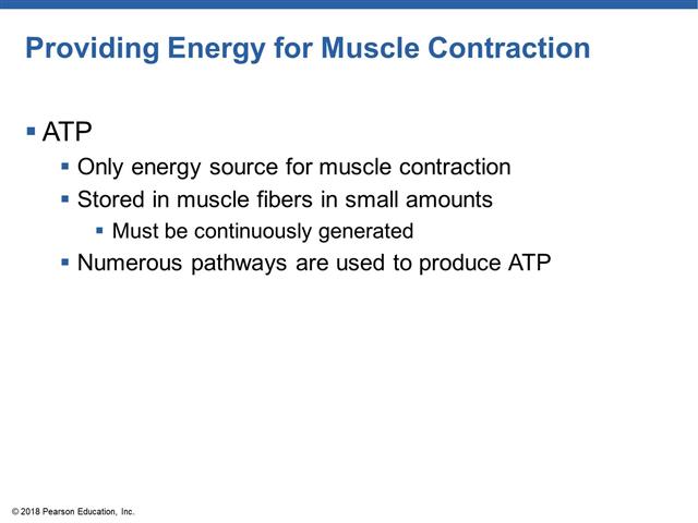CH 6 Lecture 4 Energy For Muscle Contractions ch-6-lecture-4-energy-for-muscle-contractions