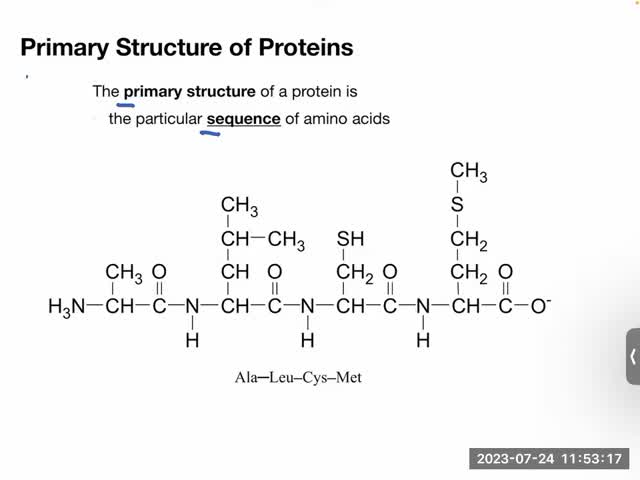 Proteins Part 2 - Structure - Chem 110