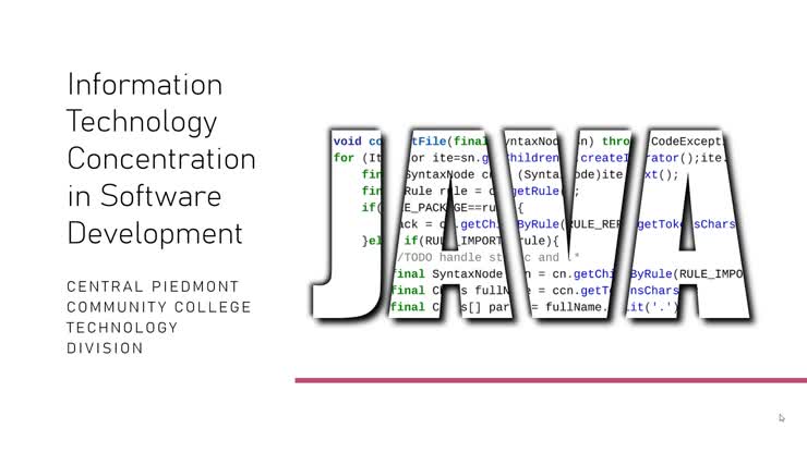 Software Development Program Overview