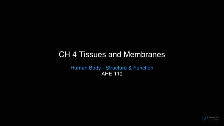 CH 4 Tissues and Membranes