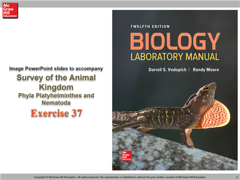 Exercise 37 - Flatworms and Roundworms