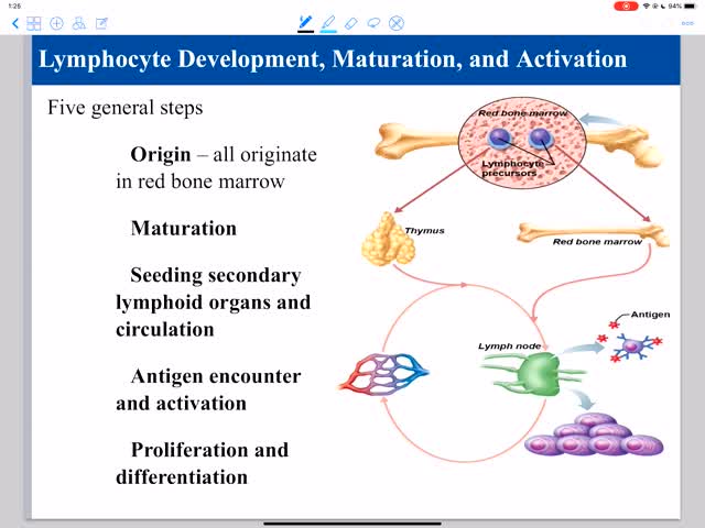 Specific immunity 6