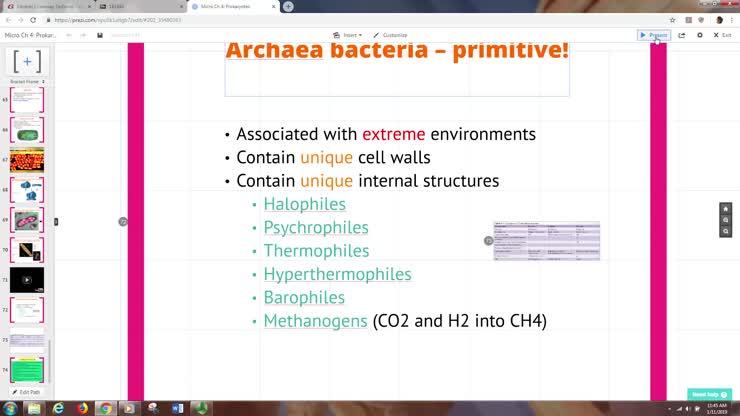 Micro Ch 4 (part 3 Archaea)