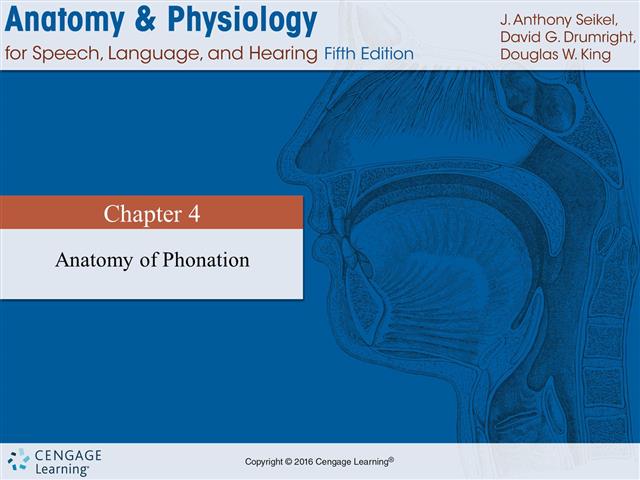 SLP 408- Phonatory Anatomy part 1