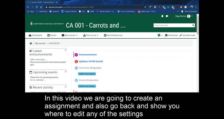 Create an Assignment