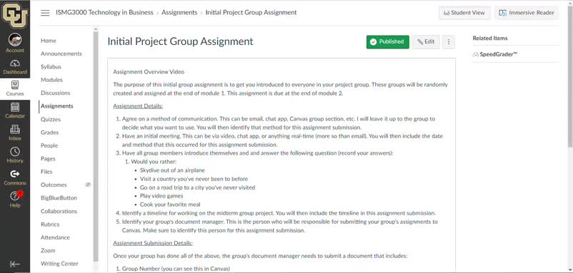 ISMG3000 Initial Group Project