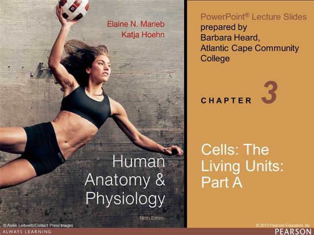 Chapter 3 - Lecture One