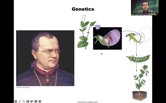 Genetics