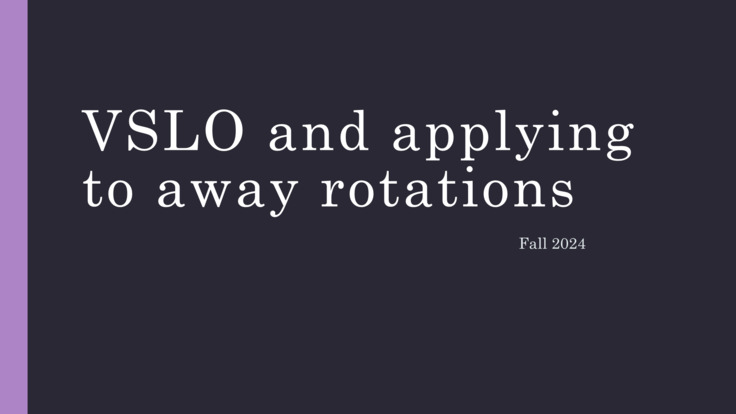 VSLO/Electives Class Meeting_Aug 2024