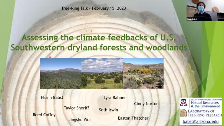 assessing-the-climate-feedbacks-of-u-s-southwestern-dryland-forests