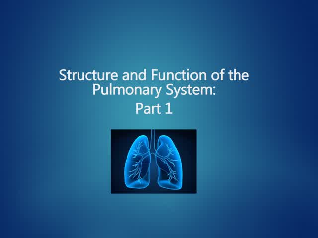 Resp Structure Function