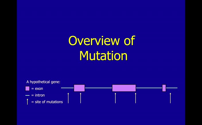 01-3 Overview of Mutation
