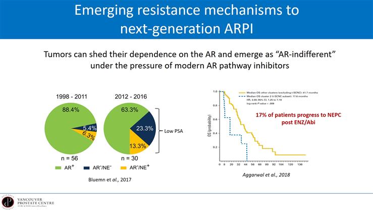 Cellular Plasticity in Treatment Resistant Prostate Cancer