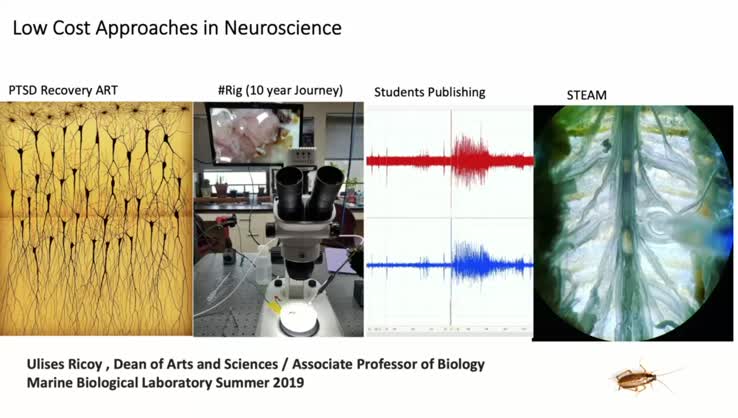 Ulises Ricoy: Low-cost approaches to neuroscience - 06/11/19
