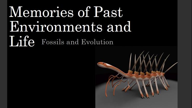 Monday, February 21, 2022 Sed Rocks#3 Paleontology