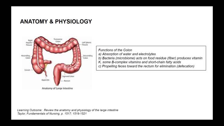 Bowel Elimination 1 (12:51)