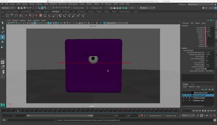 Camera Sequencer Basics