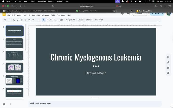 CML project
