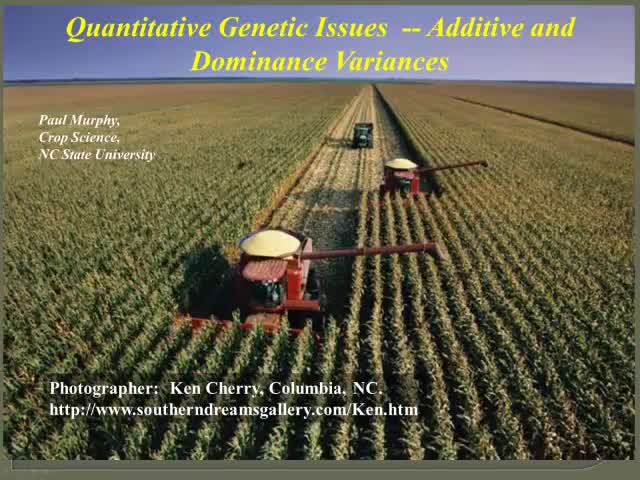 Additive and Dominance variances