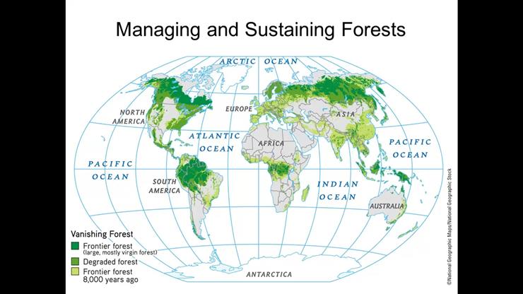 Chapter 6: Managing and sustaining forests