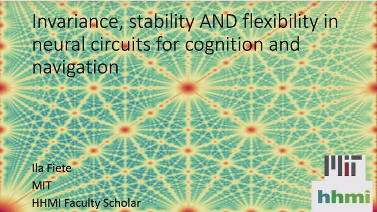 I. Fiete: Invariance, stability and flexibility in neural circuits for ...
