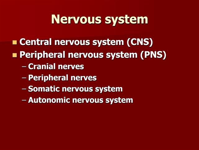 PittOnline NUR_2004 Alterations in Neurologic Function Lecture 1 ...