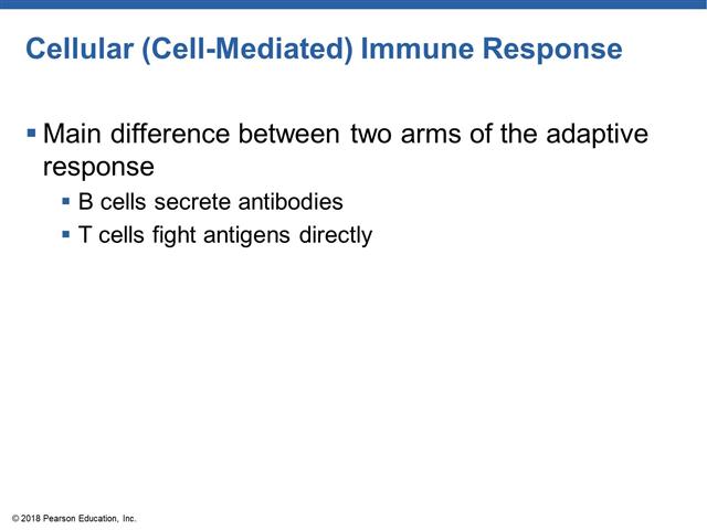 Ch 12 Lecture 4 Specific Immunity Cell Mediated Immunity ch-12-lecture-4-specific-immunity-cell-mediated-immunity