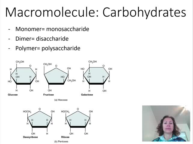 Ch3c Carbohydrates