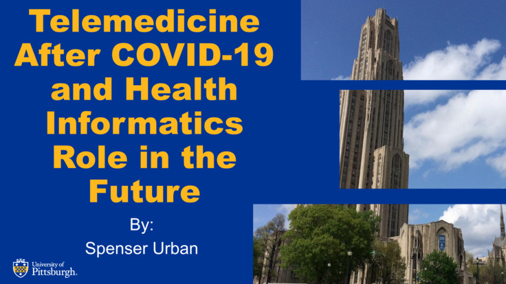 Project 2: Current Issues in Health Informatics: Telemedicine After ...