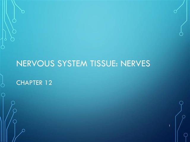 Nerves