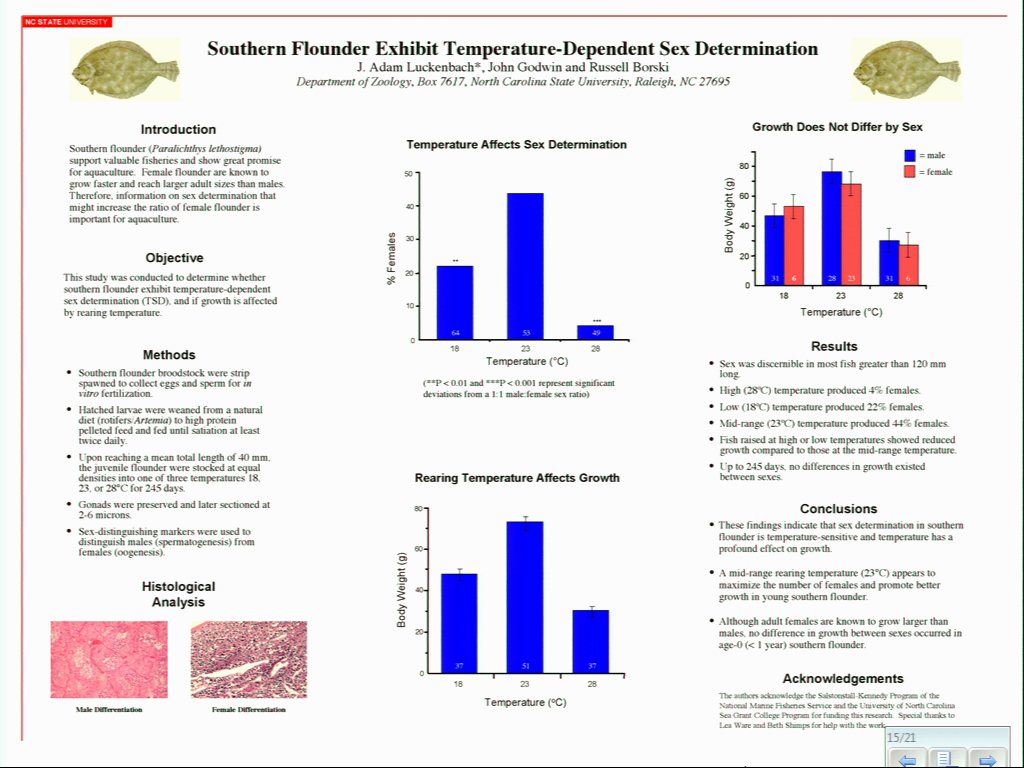 Flounder Poster Critique