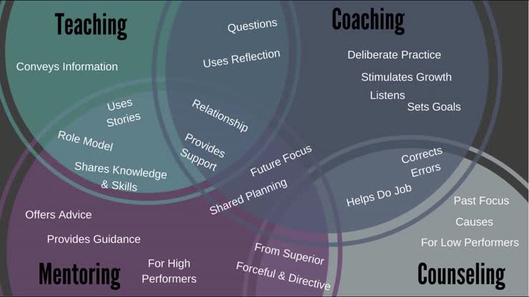 Five Roles of Mentor