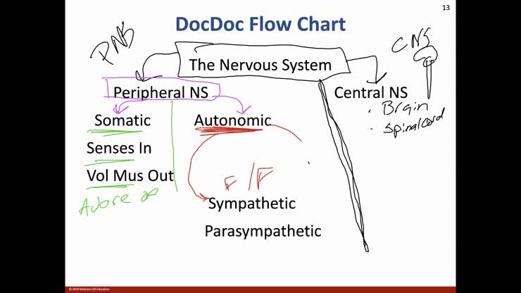 DocDoc NS Flowchart in two minutes!-with MCCC