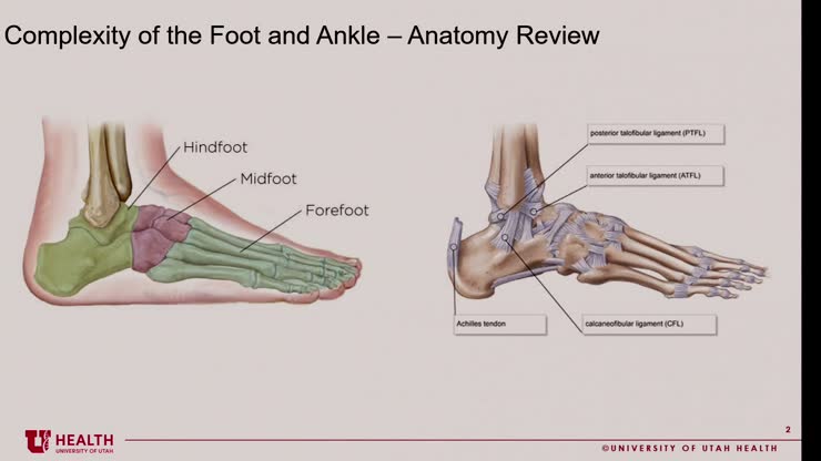 Foot and Angle Biomechanics