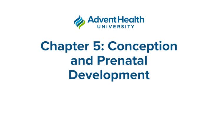 NURS330_Chapter 5 Conception and Prenatal Development