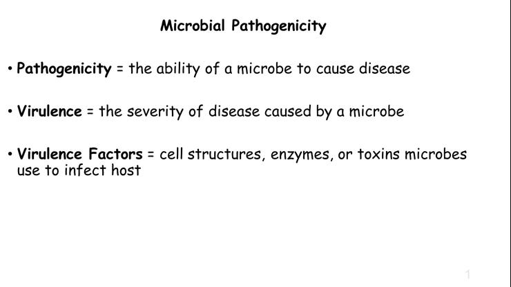Virulence Factors Video Lecture