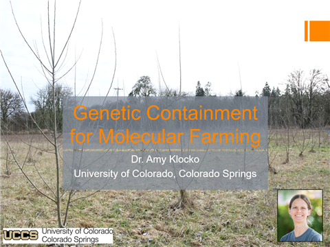 Klocko talk on genetic containment for molecular farming