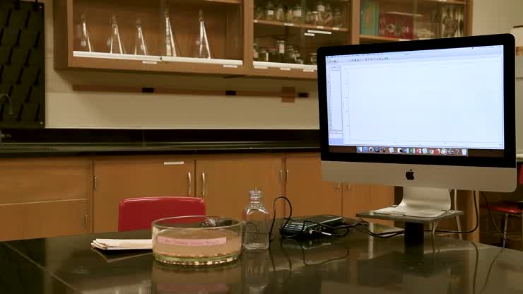 Intro to Cell Resp lab