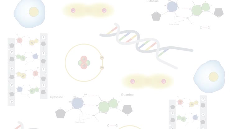Overview of Prokaryotic and Eukaryotic Cell Structure