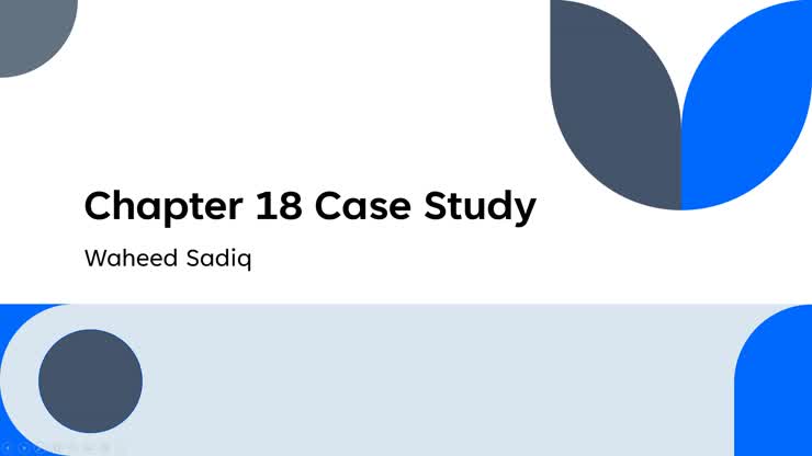 Chapter 18 Case Study Waheed Sadiq
