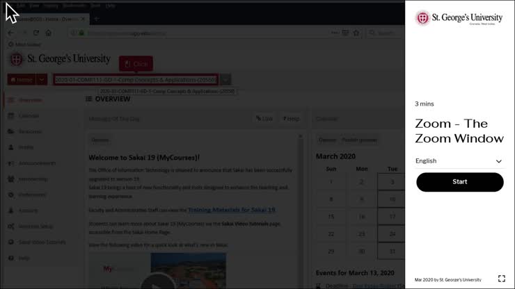 The Zoom Teaching Window
