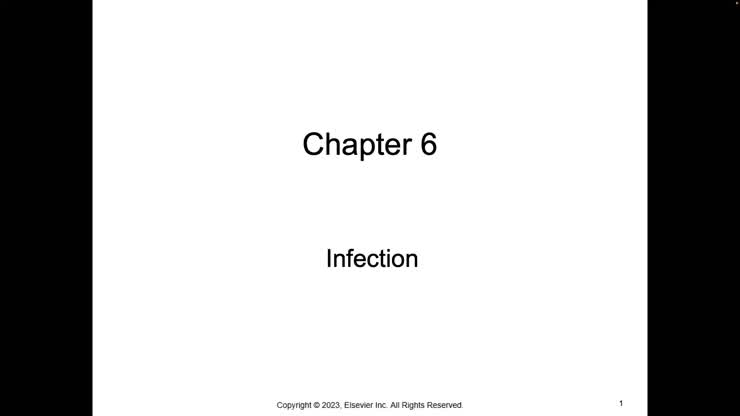 Chapter 6