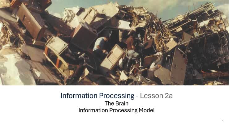 Lesson 2a: Information Processing