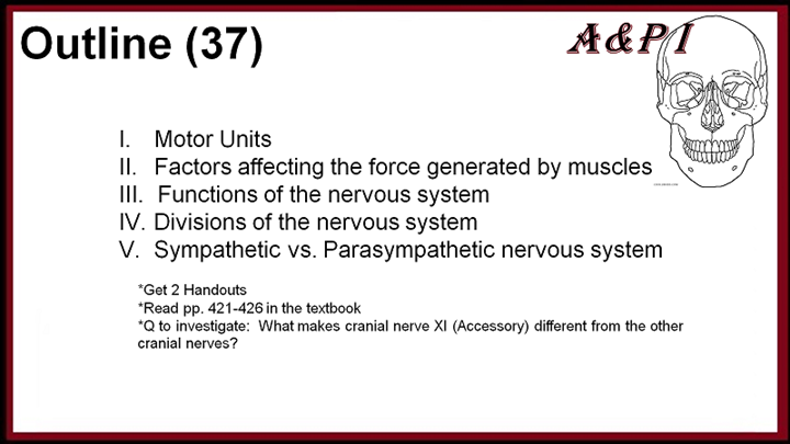 (38) Control of muscles (Video)