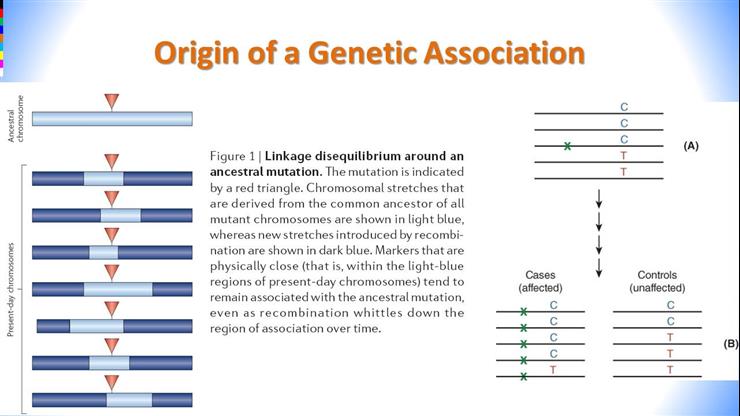 Module 8.5: Genetic Association Studies